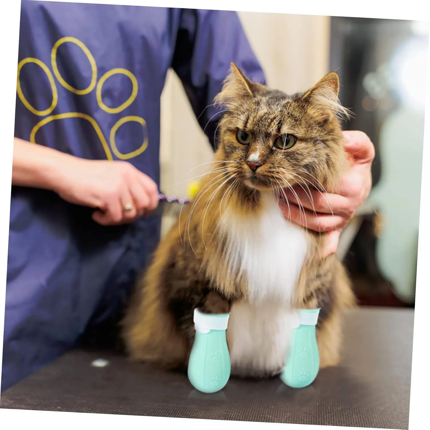 ABOOFAN 4 Pack Cat Booties Anti Scratch Cat Shoes for Kitten Adult Easy to Wear Covers Comfortable Material Bathing Cat Socks Adjustable Size
