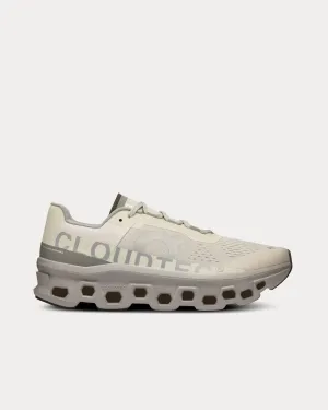 Cloudmonster Ice / Alloy Running Shoes