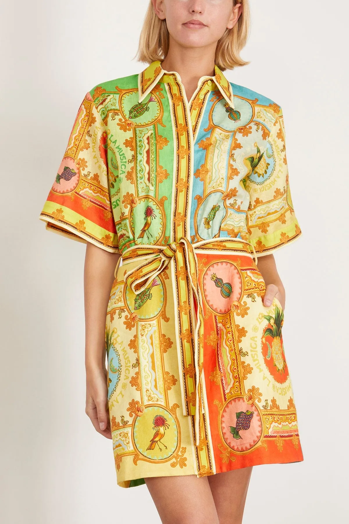 La Musica Mini Dress in Multi
